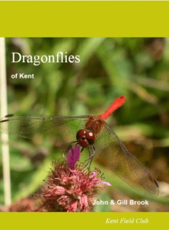 Dragonflies of Kent