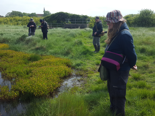 Field Meeting at Longrock SSSI