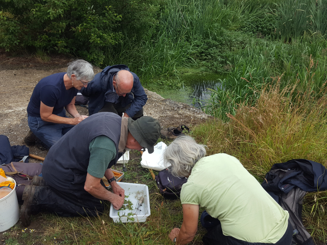 Field Meeting at Clapgate Spring