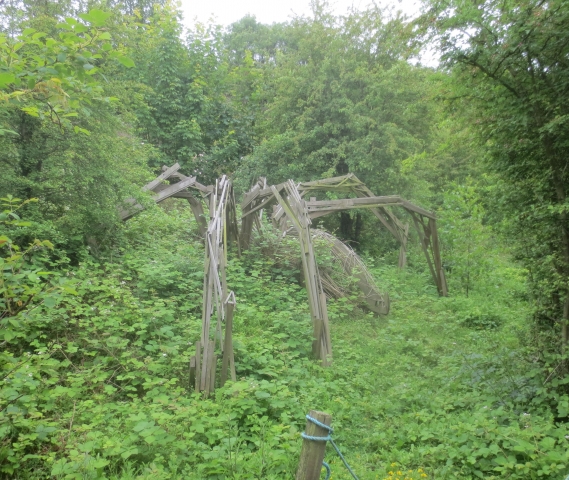 Field meeting at Monkton Nature Reserve