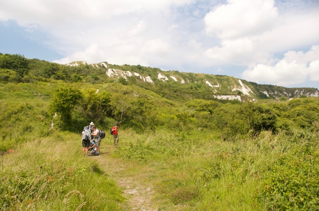 Folkestone Warren field meeting