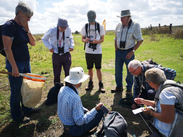 Field meeting at Elmley NNR