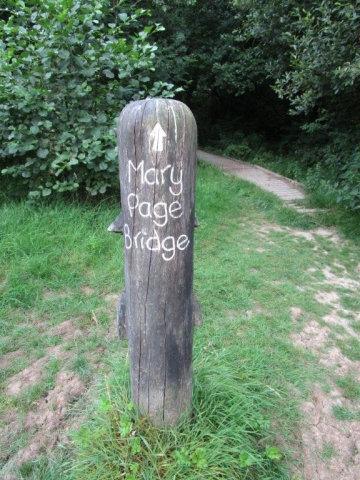 Field visit to Barnett's Wood, Southborough