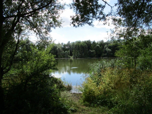 Field visit to Conningbrook lakes, Ashford