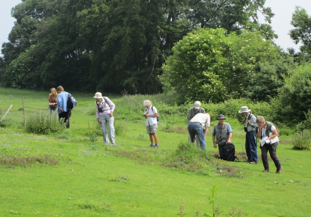 Field visit to Queendown Warren