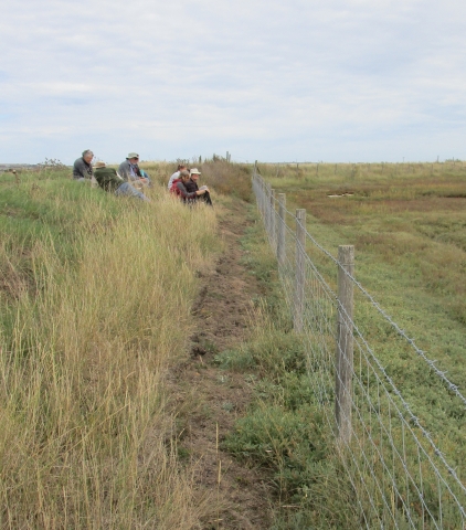 Field Meeting at Great Bells RSPB Reserve, Sheppey
