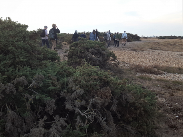 Field meeting at Dungeness NNR