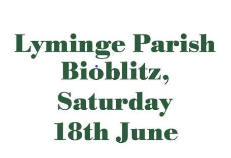 Lyminge Parish Bioblitz