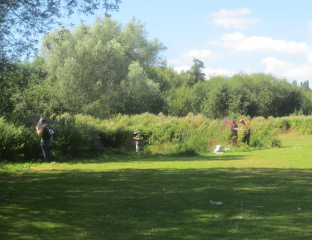 KFC field meeting at Bingley Island, Canterbury