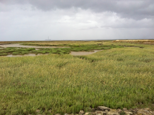 Carbon Storage in Intertidal Environments - Volunteer samplers needed