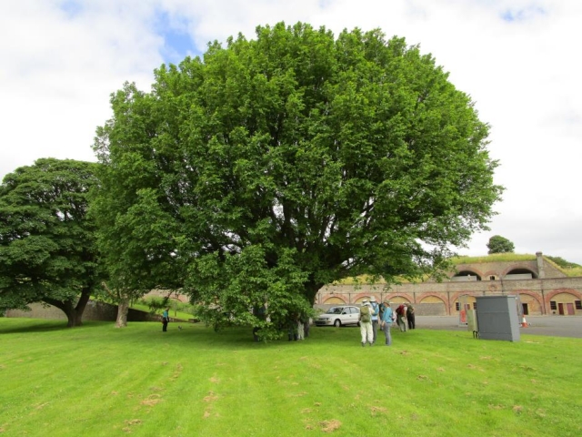 Field visit to Fort Burgoyne near Dover