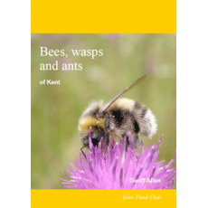 Bees, Wasps and Ants of Kent (2009)
