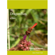Dragonflies of Kent